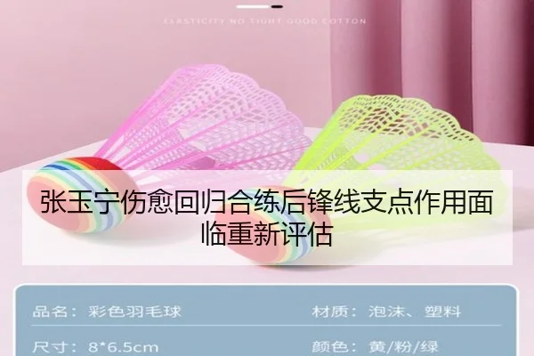 张玉宁伤愈回归合练后锋线支点作用面临重新评估